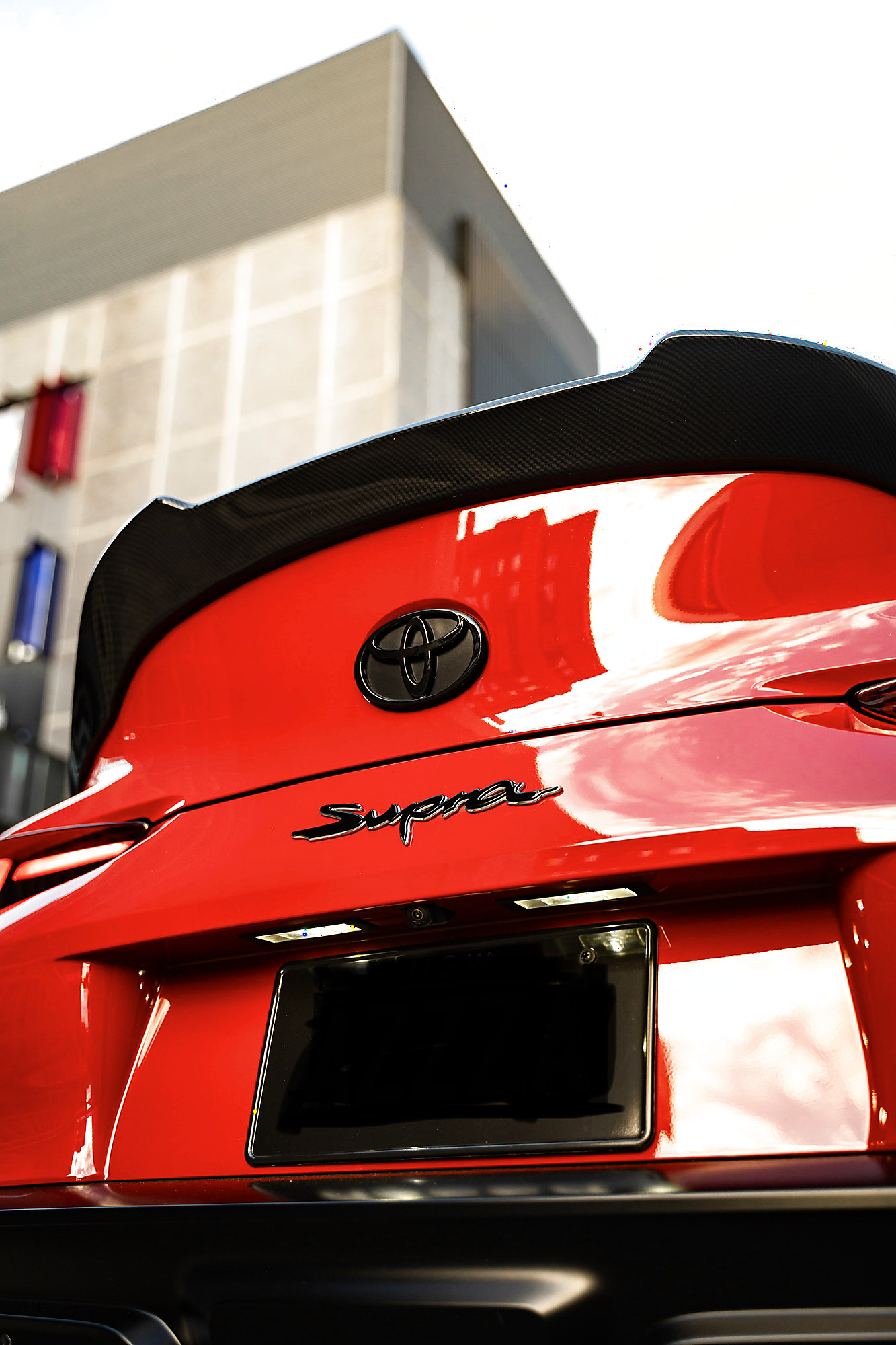 2 Year Ceramic Coating detailing service