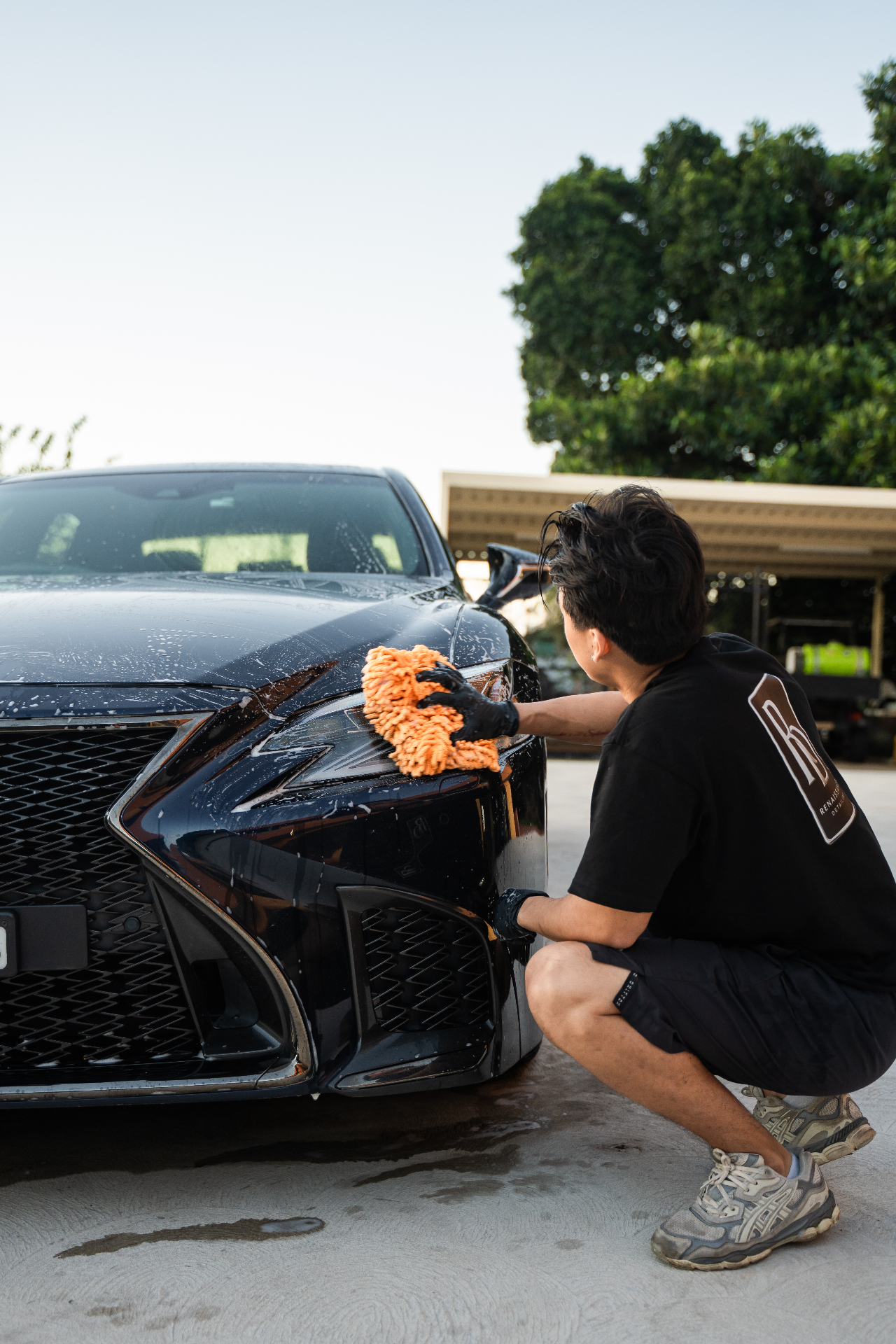 Polished alloy wheel and brake caliper